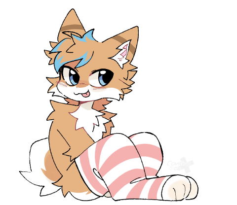 Sockies