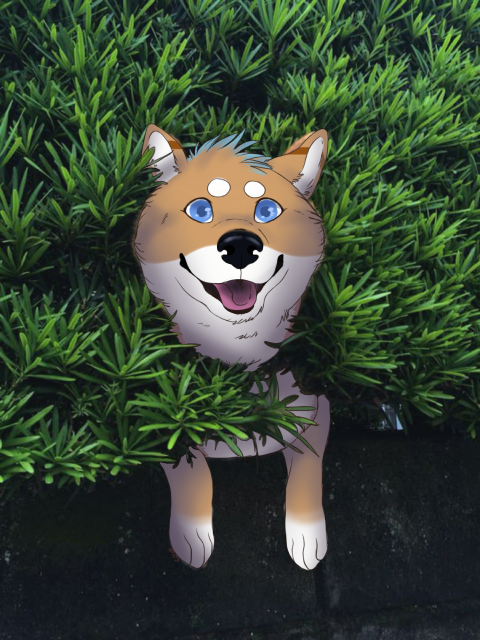 Kyru stuck in a bush drawover