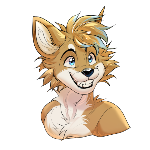 Head Sketch
