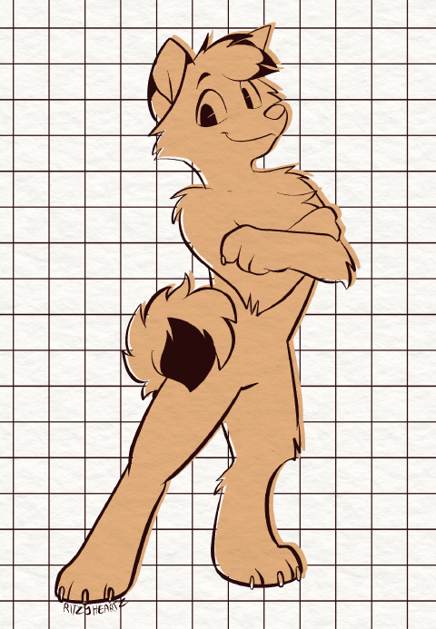 Solid Color Sketch
