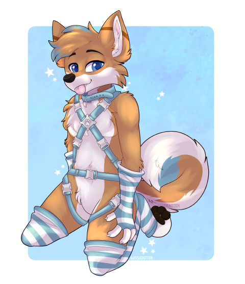 Harness