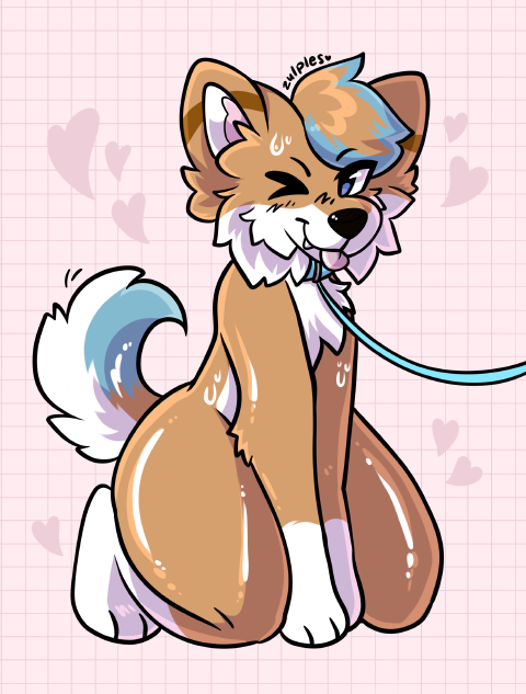 Leashed