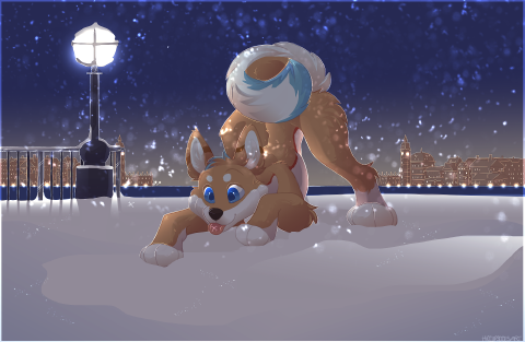 Kyru playing in the snow