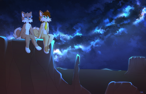 Kyru & Spazzy stargazing in the desert