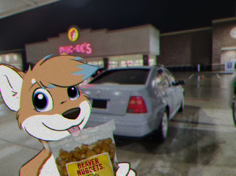 TV aesthestic - Kyru at Buc-ee's