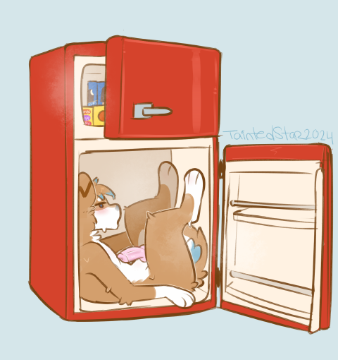 hot shibe in da fridge fo today