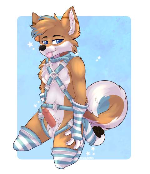 Harness 💄